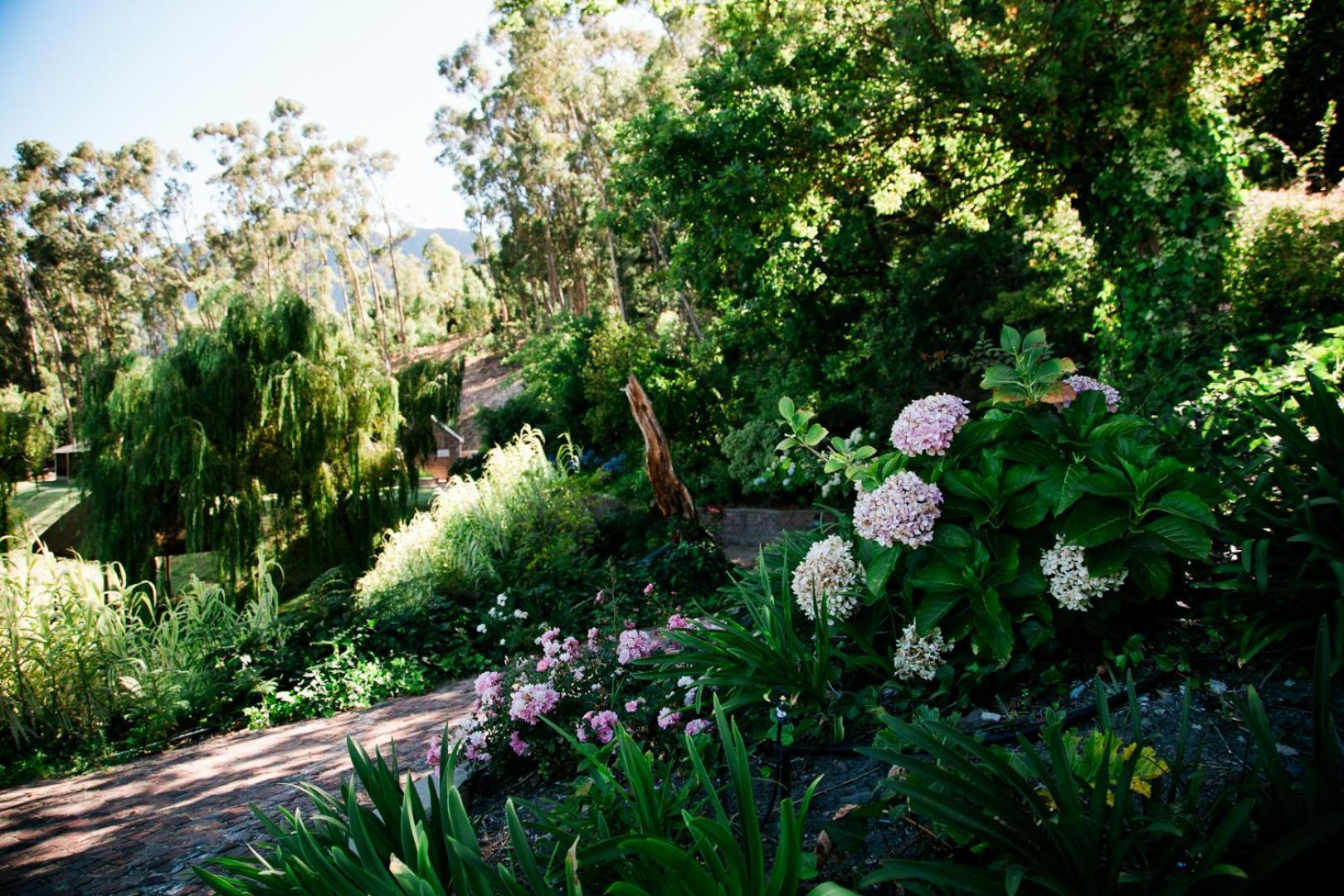 Montmartre Chalets & Venue Franschhoek Bagian luar foto